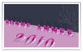 voeux2010