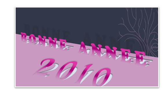 voeux2010max voeux2010max