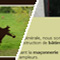Webdesign de Novembre 2009